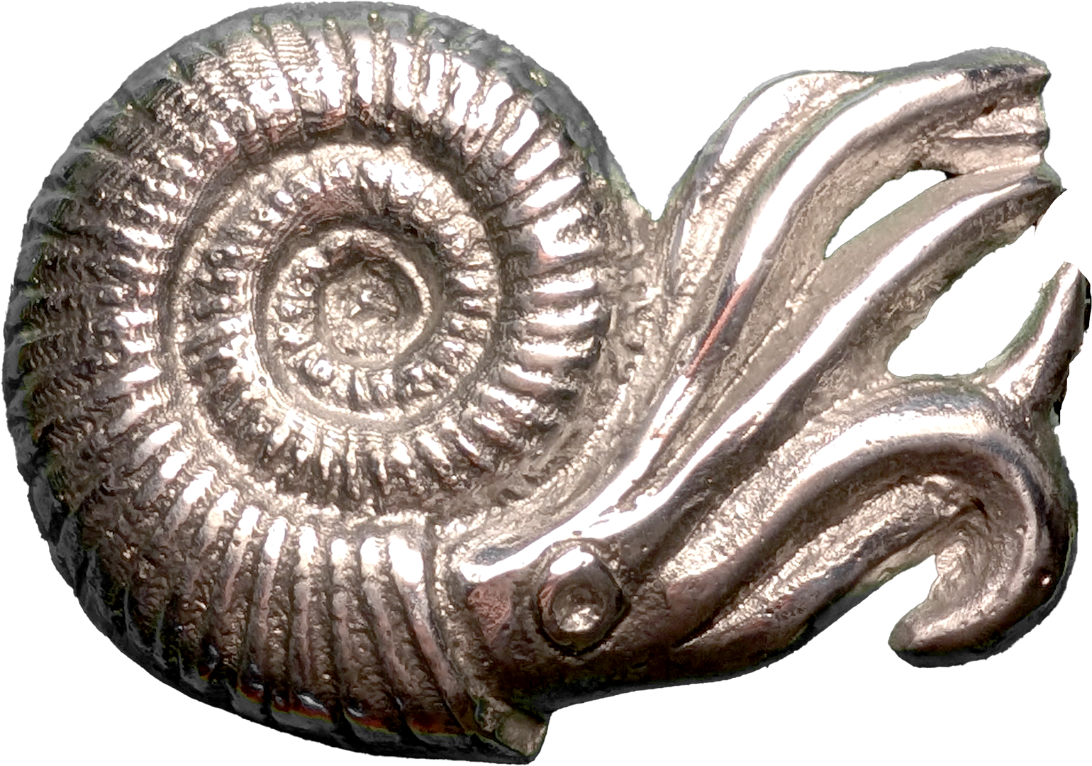 ammonite cast bronze belt buckle